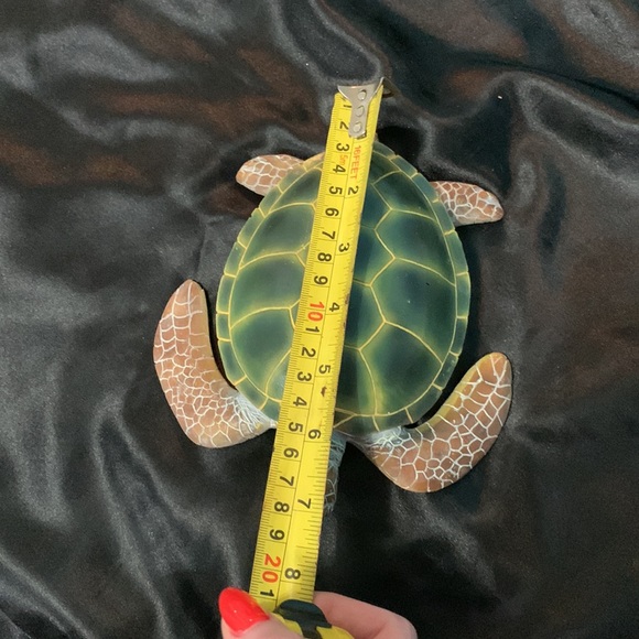 3d Turtle Decor - Picture 7 of 7